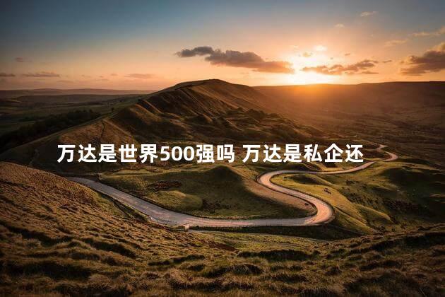  万达是世界500强吗 万达是私企还是国企